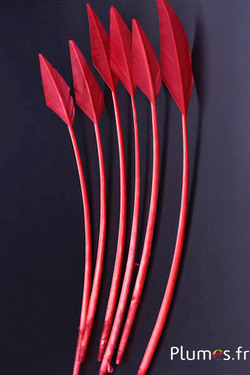 Schwan Pfeilform - 20-30 cm - altrosa